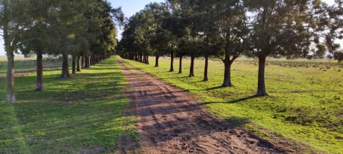 Propriedade Melo - Cerro Largo - UY