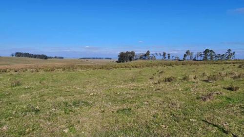 Propriedade Melo - Cerro Largo - UY