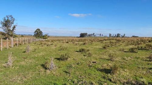 Propriedade Melo - Cerro Largo - UY