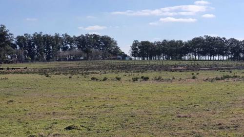 Propriedade Melo - Cerro Largo - UY