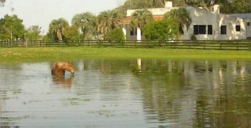 Propriedade La Blanca - Cerro Largo - UY