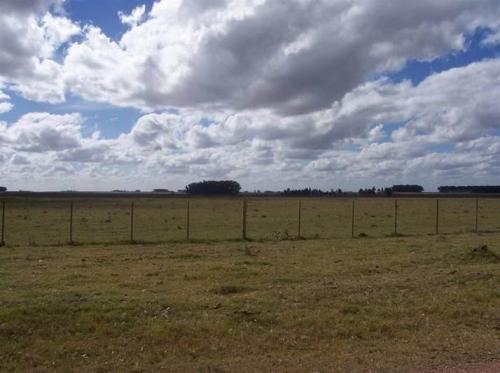 Propriedade El Palmar - Lavalleja - UY