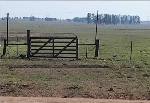 Propriedade LM - Cerro Largo - UY