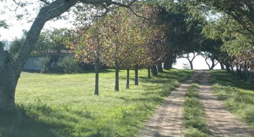 Propriedade LM - Cerro Largo - UY