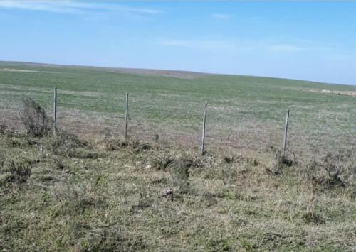 Propriedade LM - Cerro Largo - UY