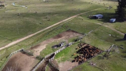 Propriedade La Gateada - Tacuarembó - UY