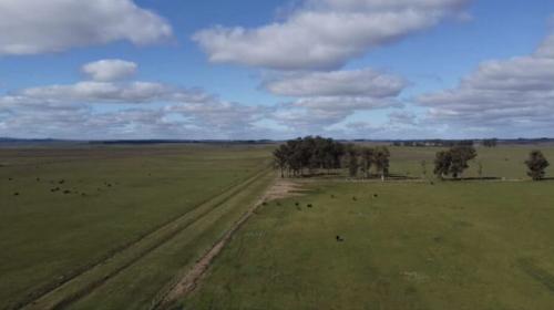 Propriedade La Gateada - Tacuarembó - UY