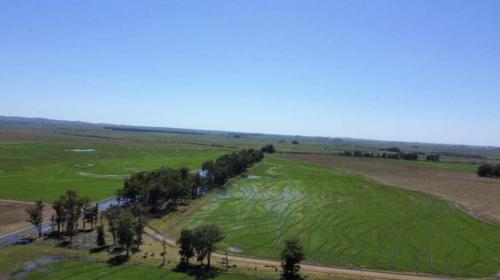 Propriedade La Gateada - Tacuarembó - UY