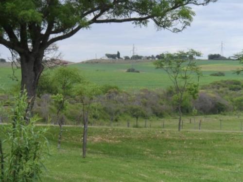 Propriedade Rio Negro - Rio Negro - UY