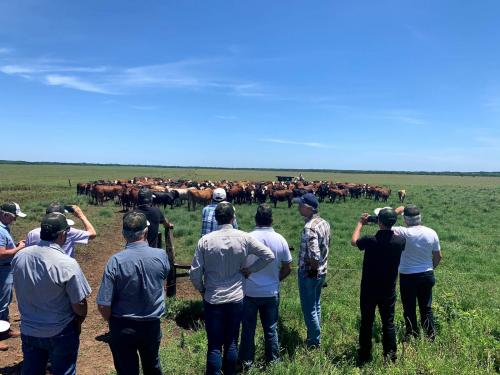 Viagem técnica ao Uruguai - Agronegócio no Exterior