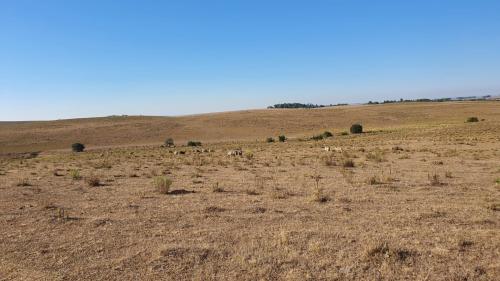 Propriedade Aceguá - Cerro Largo - UY