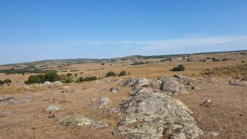 Propriedade Aceguá - Cerro Largo - UY