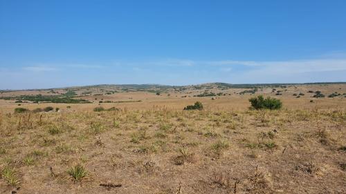 Propriedade Aceguá - Cerro Largo - UY