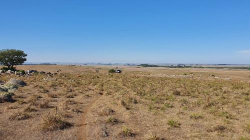 Propriedade Aceguá - Cerro Largo - UY